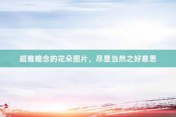 超雅瞻念的花朵图片，尽显当然之好意思