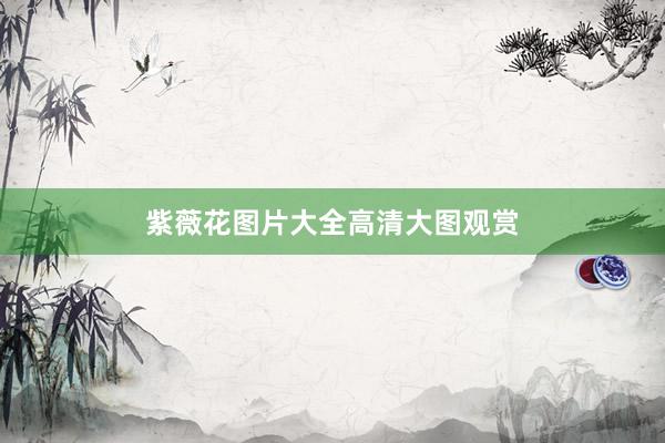 紫薇花图片大全高清大图观赏