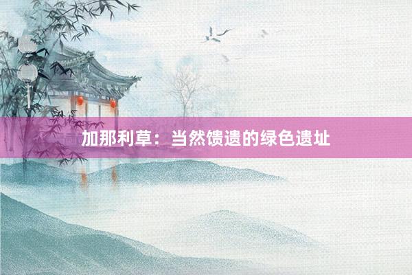 加那利草：当然馈遗的绿色遗址