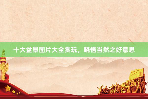 十大盆景图片大全赏玩，晓悟当然之好意思
